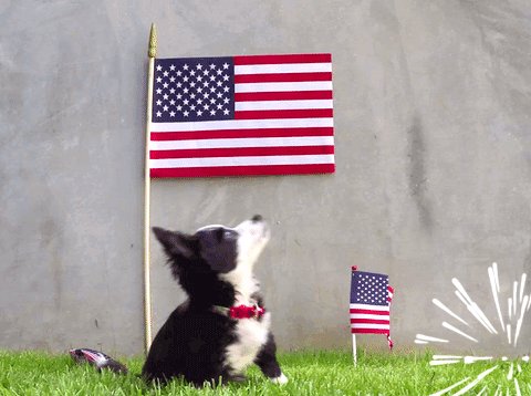 Happy 4th of July!!!! Hope your day has been wonderful and your night even better. 🎉✨ https://t.co/w<a href="/tag/camgirl"class="tags"><span>#camgirl</span></a><a href="/tag/manyvids"class="tags"><span>#manyvids</span></a>