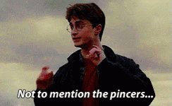 Happy birthday to daniel radcliffe thank u for being born and giving me this scene i am eternally grateful 