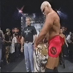 Happy birthday Scott Steiner 