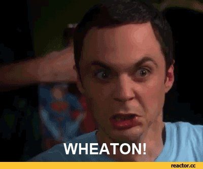  Happy birthday, Wil Wheaton! 