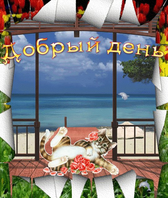 Анимация картинки, хорошего дня картинки прикольные с надписями гифки