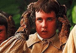 Wishing a very happy birthday to our Herbology Professor, Neville Longbottom! 