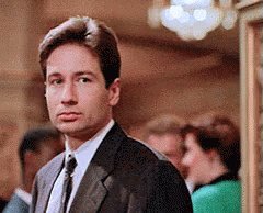 Happy birthday David Duchovny 