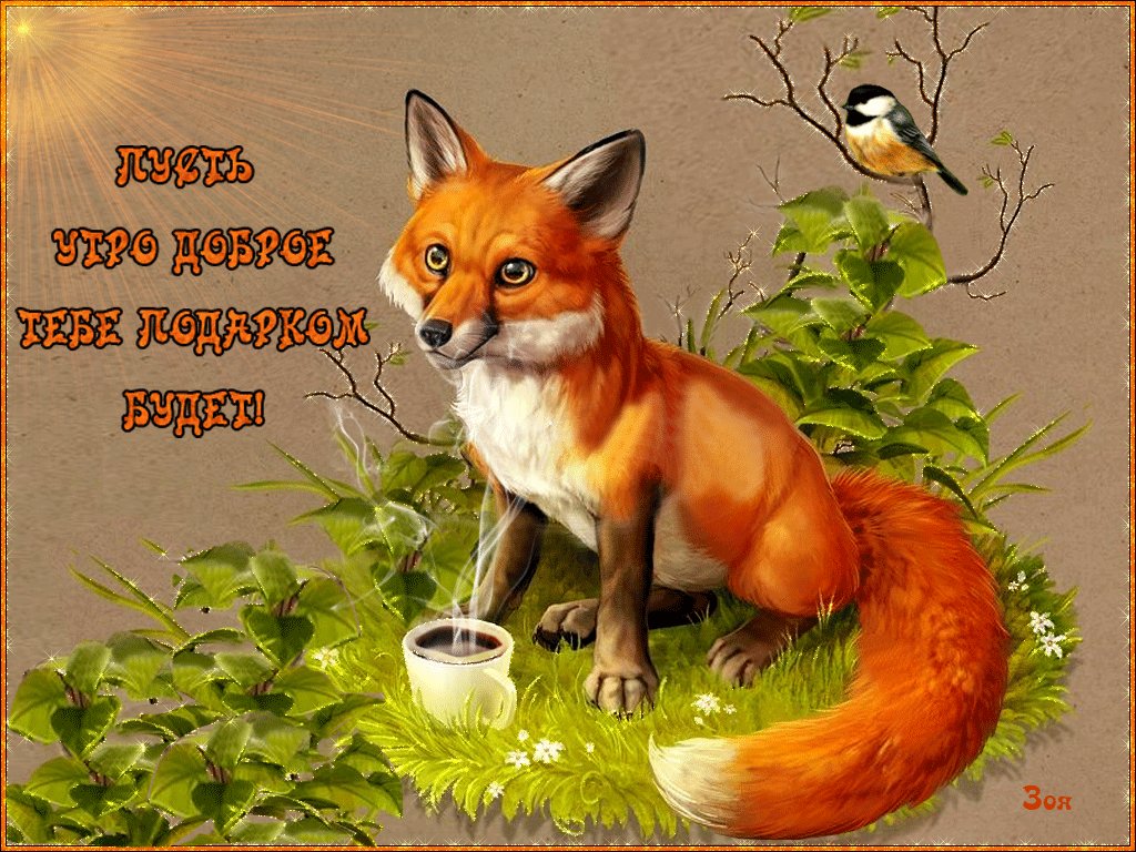 ��������� ���������, ������ ���� � �������� �������� � ��������