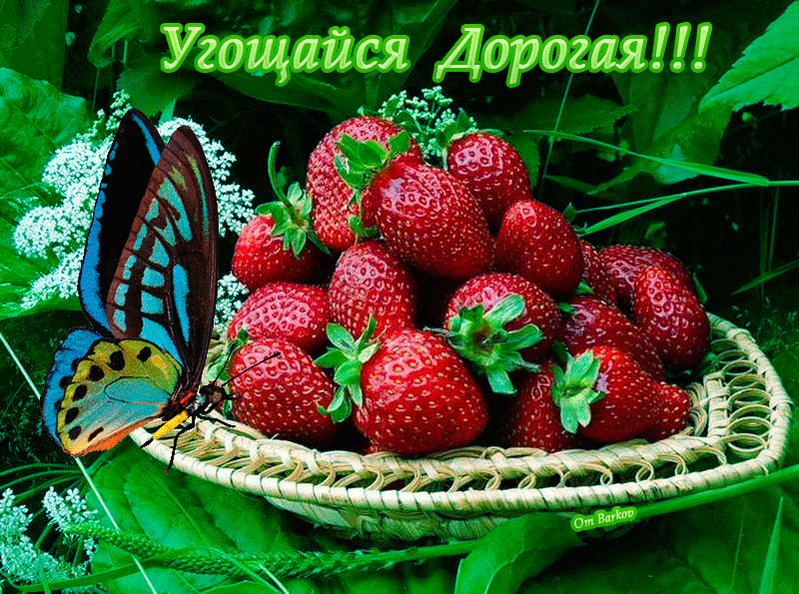 Открытки февраля, угощайся картинки