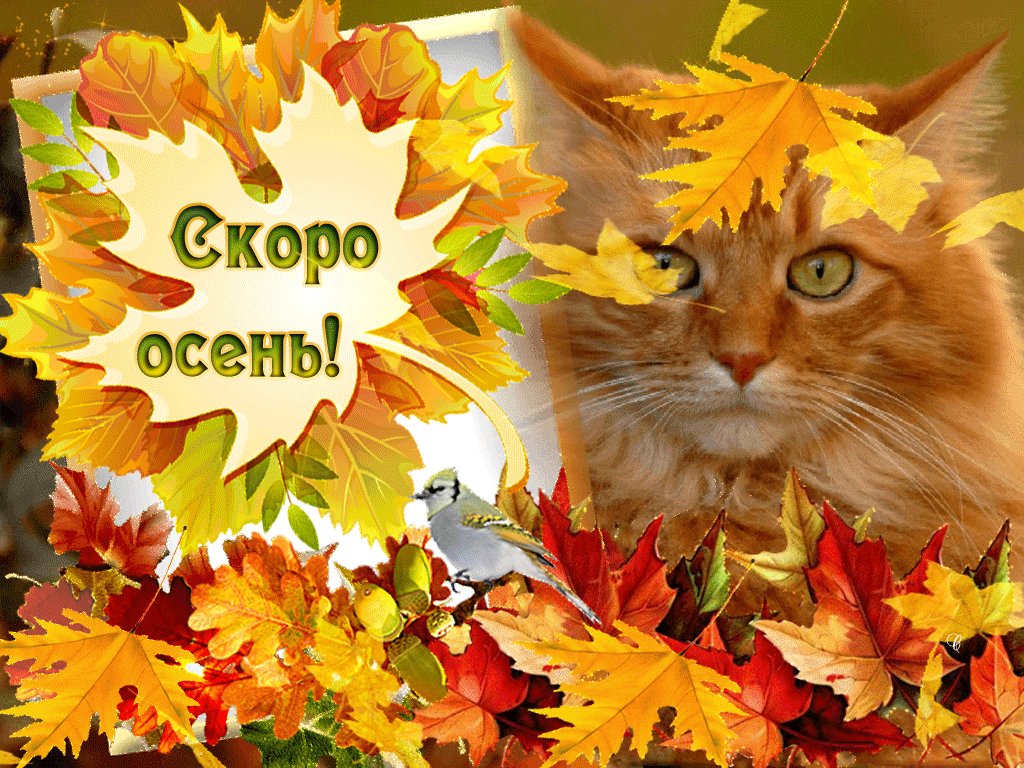 Открытки про сентябрь, открытки маленькие открытка