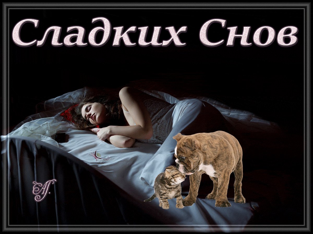 Открытка парню перед сном, понедельника смешные