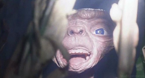 Happy birthday, Henry Thomas! 