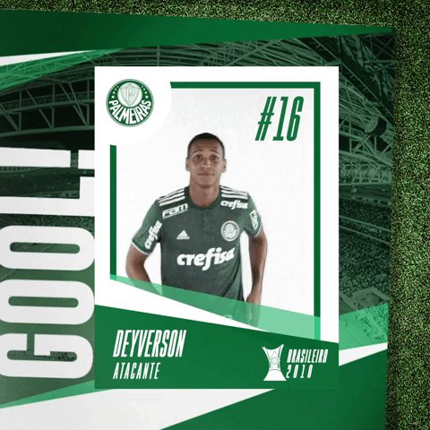 Os Palmeiristas on X: @PE_Lira @pomerense É do Palmeiras mano