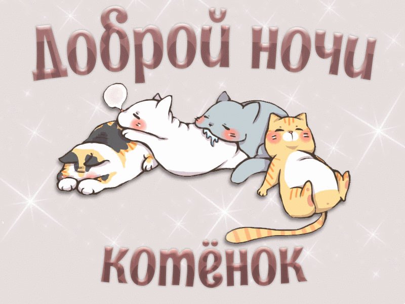 Любимой, открытки с британским котенком доброй ночи