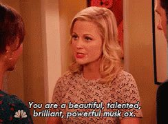 Happy birthday Amy Poehler! Thank you for empowering women both on and off-screen!    