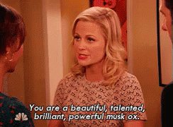 Happy birthday Amy Poehler, thank you for being so wonderful and influential.  