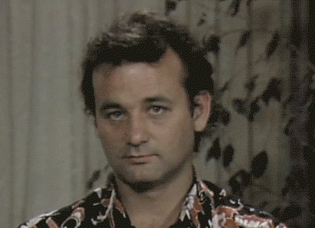 Happy Birthday Bill Murray   