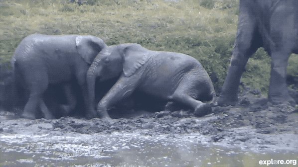 exploreorg photo