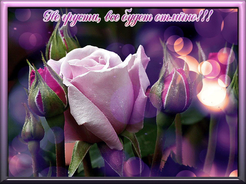 Картинки анимация не грусти все будет хорошо