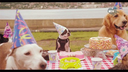 Nin (@NnTnDGmFrk100) on Twitter photo 10/10/2018 19:47:43 Happy borkday @GarBluemoon Happy borkday @GarBluemoon
