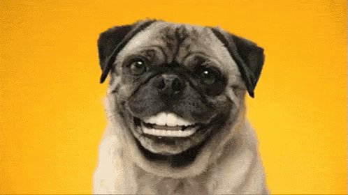 Jennifer Casa-Todd (@JCasaTodd) on Twitter photo 11/10/2018 12:13:34 Good morning friends! Smile and pass it on! Good morning friends! Smile and pass it on!