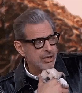 Happy birthday, Here\s a gif of Jeff Goldblum and a puppy 