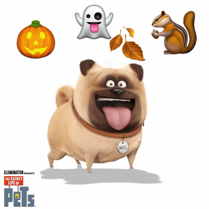 The Secret Life Of Pets 2 Universal Pictures