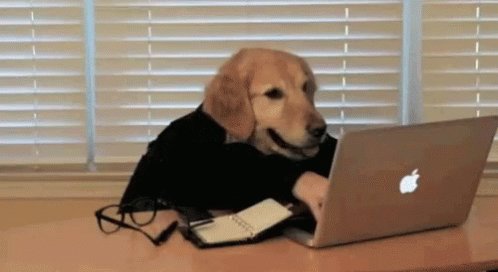 WeRateDogs™ (@dog_rates) on Twitter photo 14/11/2018 17:35:31 @tentree ok fine but instead of “cork collars” they should be “bork collars” @tentree ok fine but instead of “cork collars” they should be “bork collars”