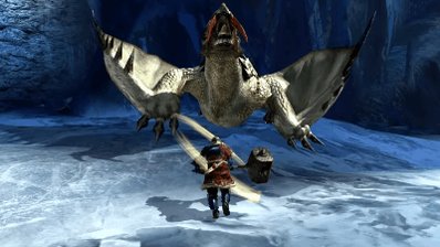 monsterhunter photo