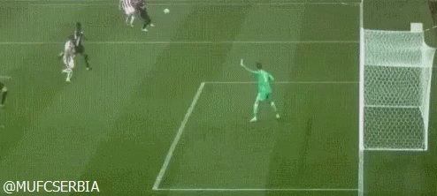 Happy birthday to David De gea what a beast he is   