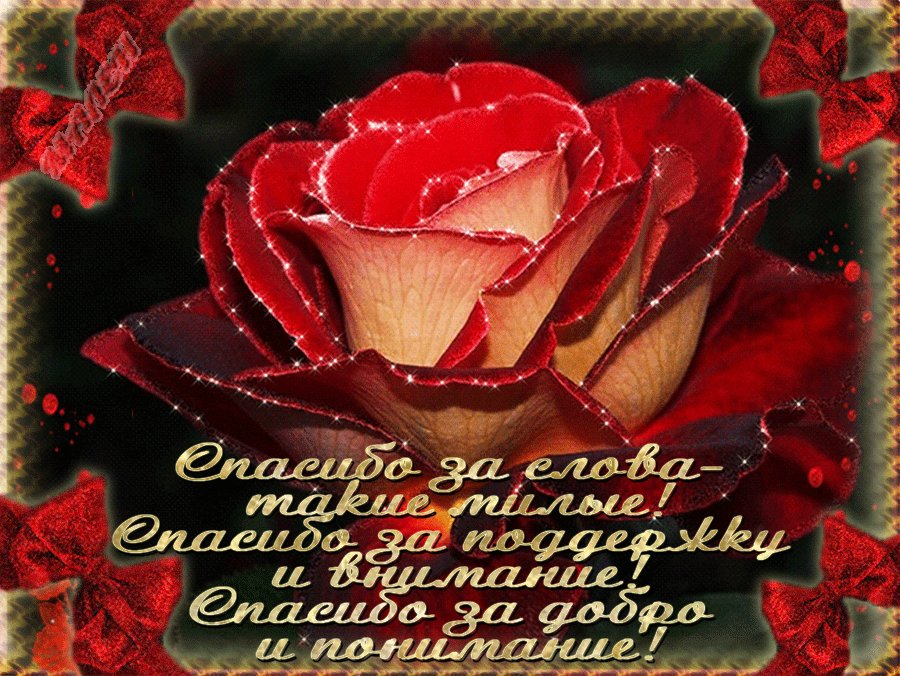 Открытки благодарю за добрые слова
