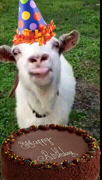 It s birthday today! Let\s all wish her a big \Happy Birthday\, with lots of onesies and goats! 