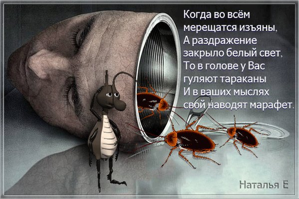 Открытка, открытка с тараканами