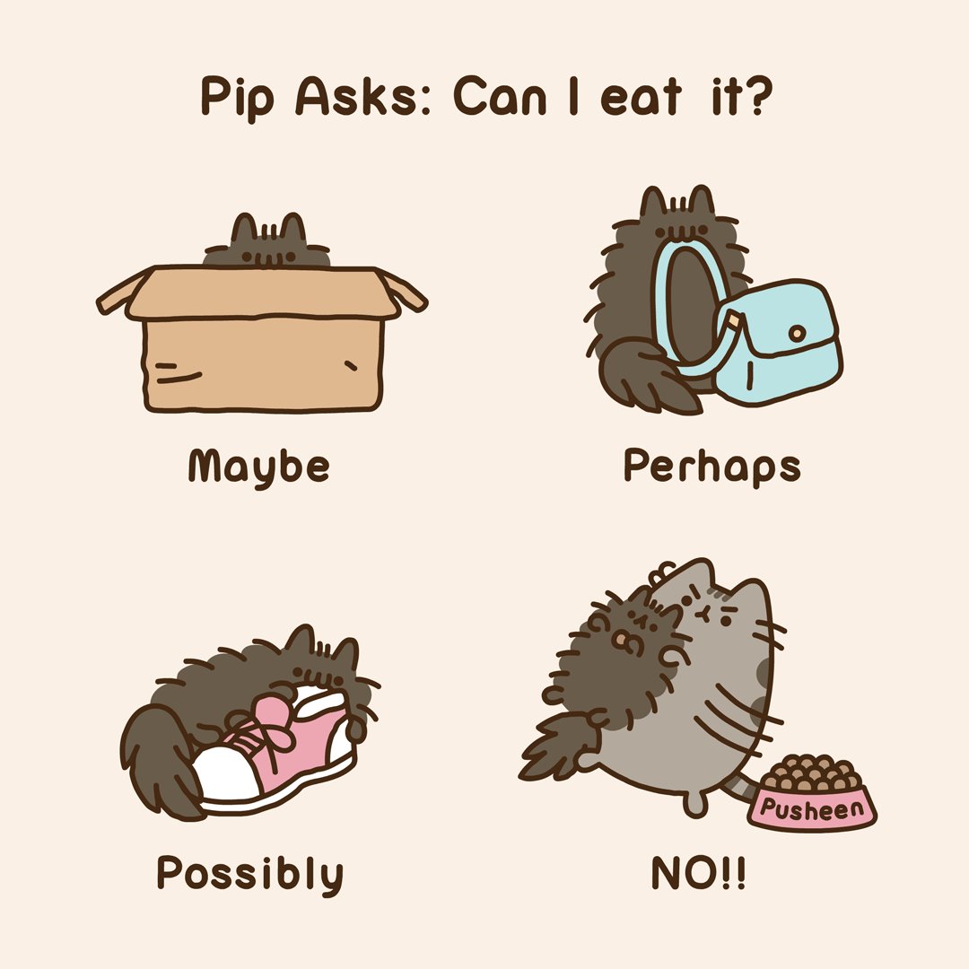Pusheen the cat على تويتر: "😼…