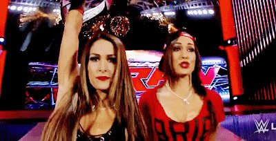 Happy birthday to Nikki and Brie Bella 