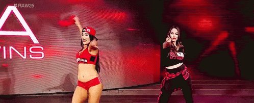 Happy Birthday The  Bella Twins 