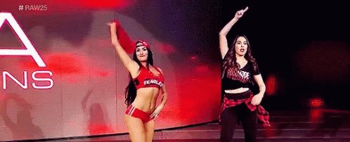 Happy 35th birthday to Nikki and Brie Bella 