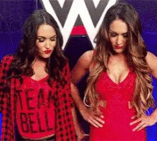 Happy birthday to my favorite twins!  Nikki and Brie Bella 