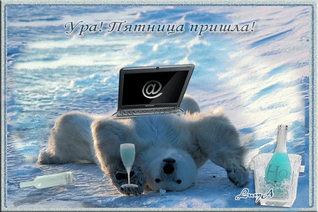 Доброе утро пятница прикольные картинки зимние