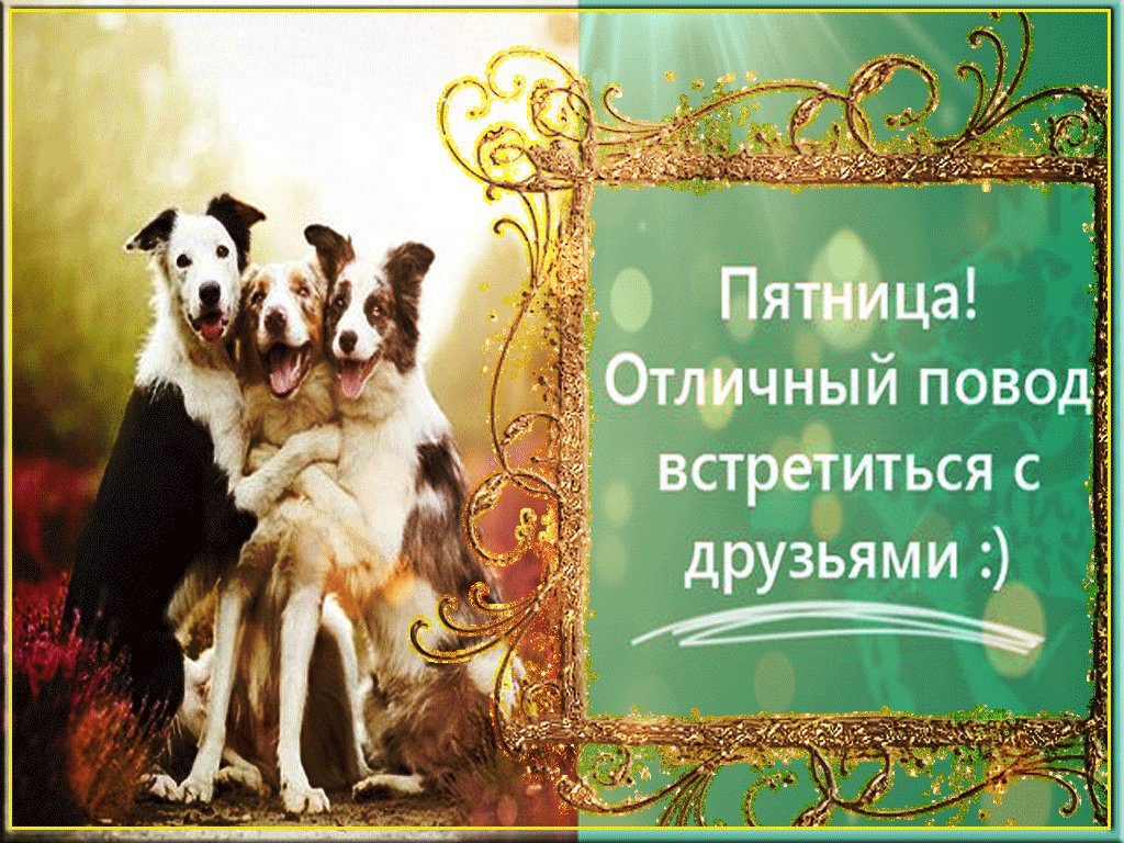 Открытка про встречу друзей