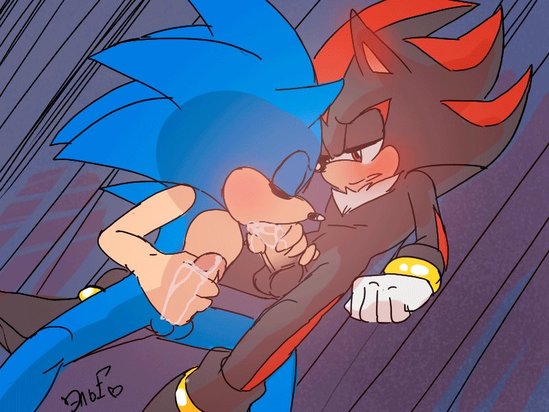 Sonic the Hedgehog on Twitter: "My meeting with Shadow always ends lik...