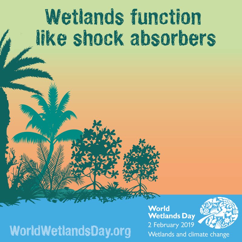 Image result for wetlands shock absorber