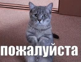 Встроенное видео