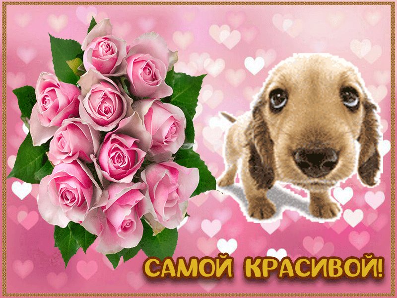 Открытка для самой красивой девочки на свете