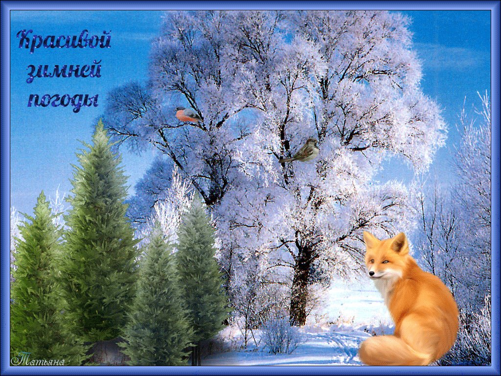 Открытки доброе утро и хорошего настроения природа зима, днем