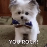 Jennifer Casa-Todd (@JCasaTodd) on Twitter photo 16/12/2018 14:39:55 @iluveducating @canva @dbc_inc Aw, thanks, Alicia! Back at ya! @iluveducating @canva @dbc_inc Aw, thanks, Alicia! Back at ya!
