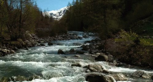 "A brook would lose its song if you removed the rocks." Source Unknown
#SundayMotivation #SundayThoughts #mindset