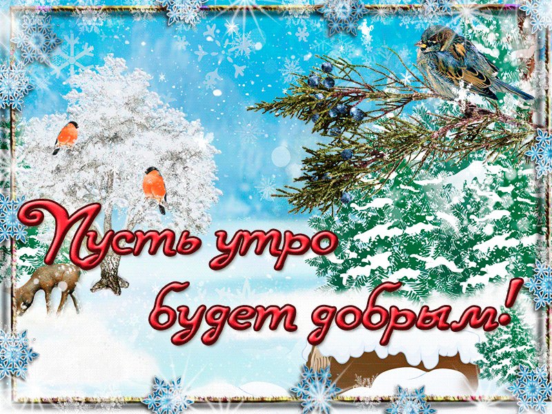 Открытки прикольные с добрым утром отличного дня зимой среда