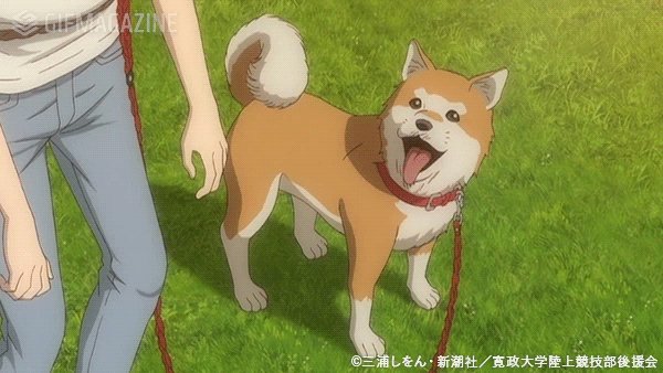 アニメ 風が強く吹いている ニラ 風が強く吹いている 原作文庫アニメ化記念フルカバー帯に書き下ろし ニラ はちゃんとわかっている 収録中 ニラ目線のお話 とっても可愛いですよ まだ読んでいない方は是非 T Co Ot3ktqiawg