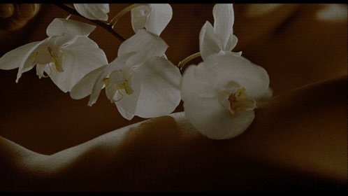 טוויטר Netflixfilm בטוויטר But What About The Timing In The Film The Scene Lasts Around Three Minutes With A Few Cutaways That Indicate Some Time Passing So Let S Give Them The