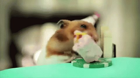A verry happy birthday . Enjoy it 