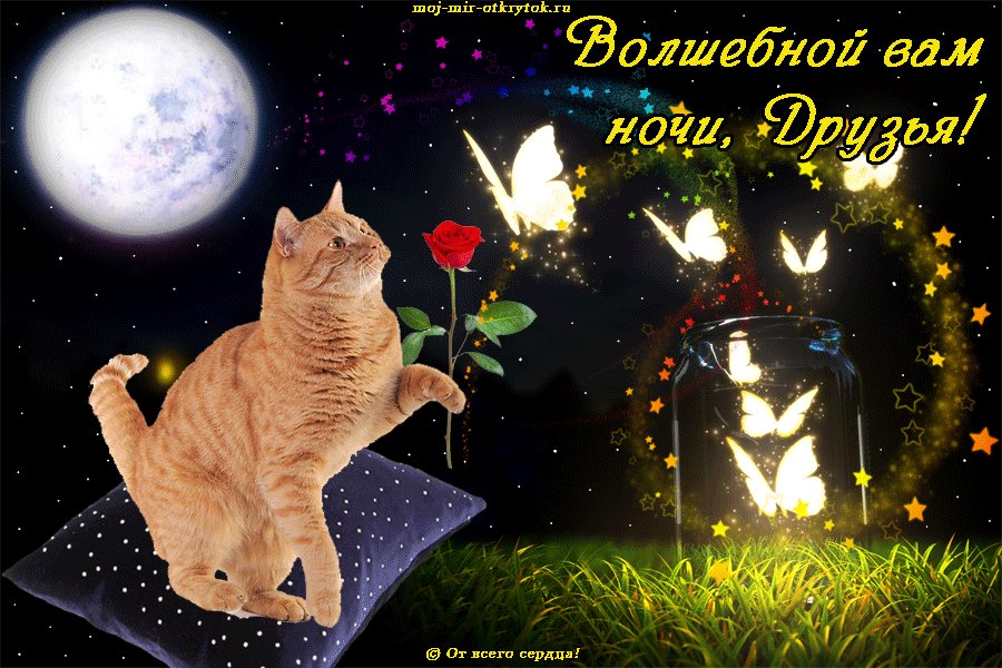 Надписью, картинки с надписью доброй ночи друзья
