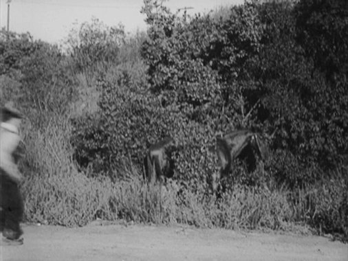 Buster Keaton in The Paleface (1922)
