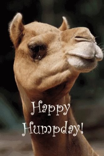 #Good Morning Twitter!!!! Have a great Hump Day!!!